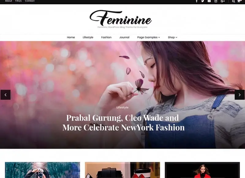Free Blossom Feminine WordPress Theme